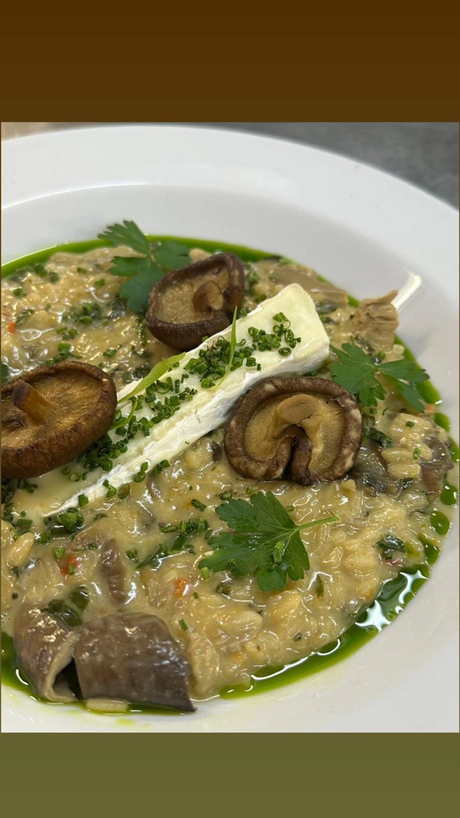 Risotto de Hongos