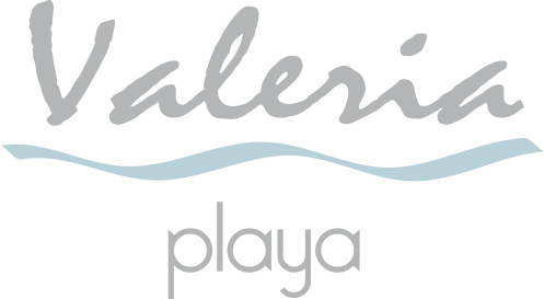 Apart Hotel Valeria Playa 