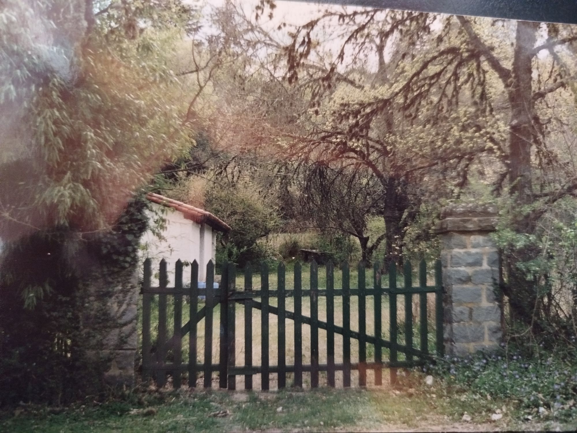 Cabañas Las Terrazas