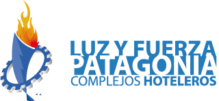 LUZ Y FUERZA PATAGONIA SRL