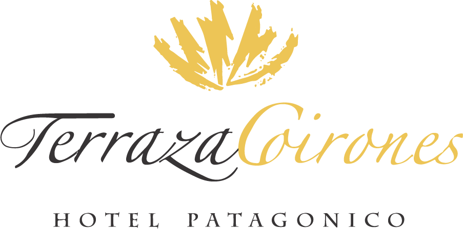 Terraza Coirones Hotel