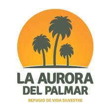 La Aurora del Palmar 