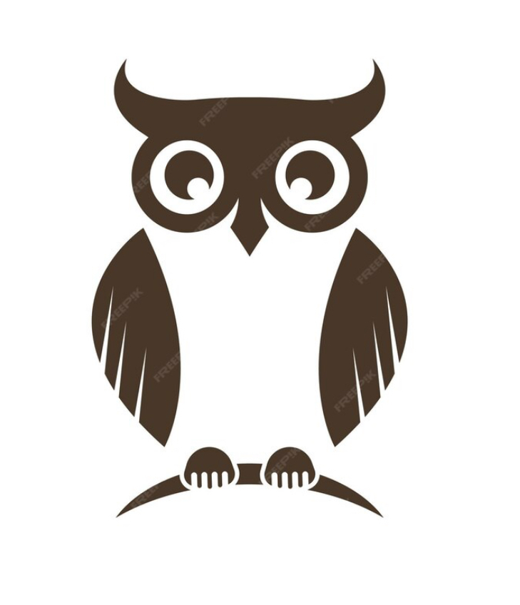 The Owls Lodge