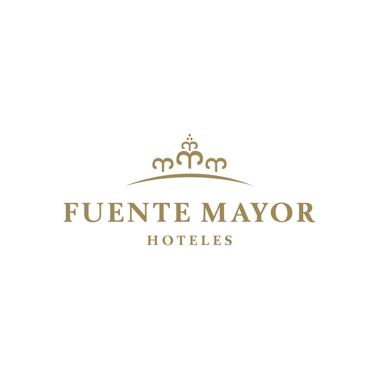Fuente Mayor Hotel Terminal Mendoza