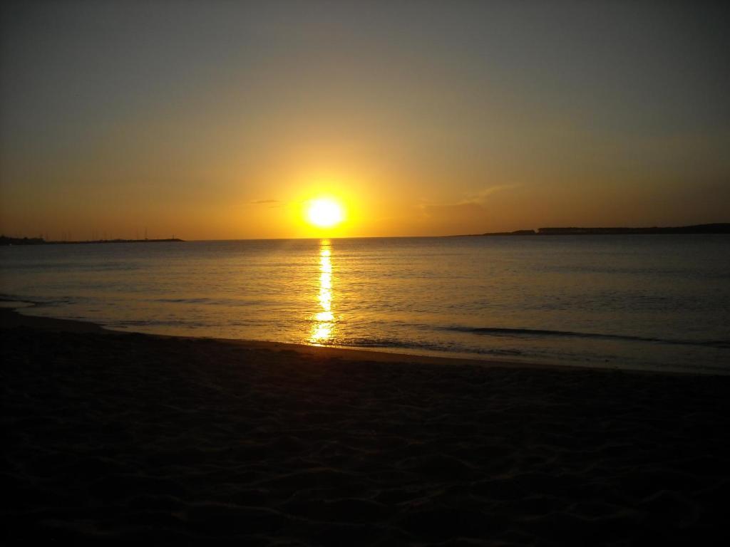 Foto 2 de la galería