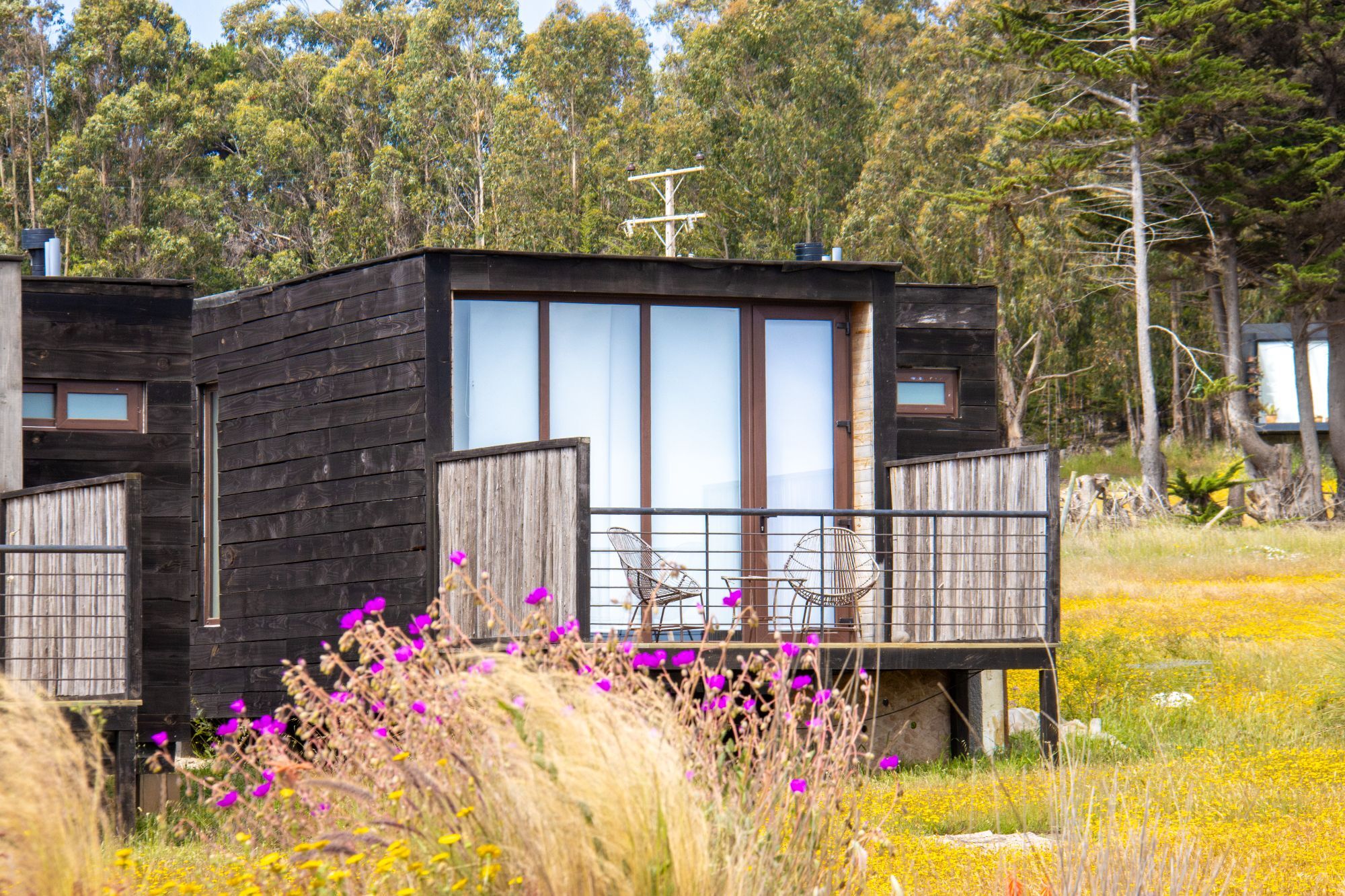 Naturaleza, mar y desconexión en Pichilemu