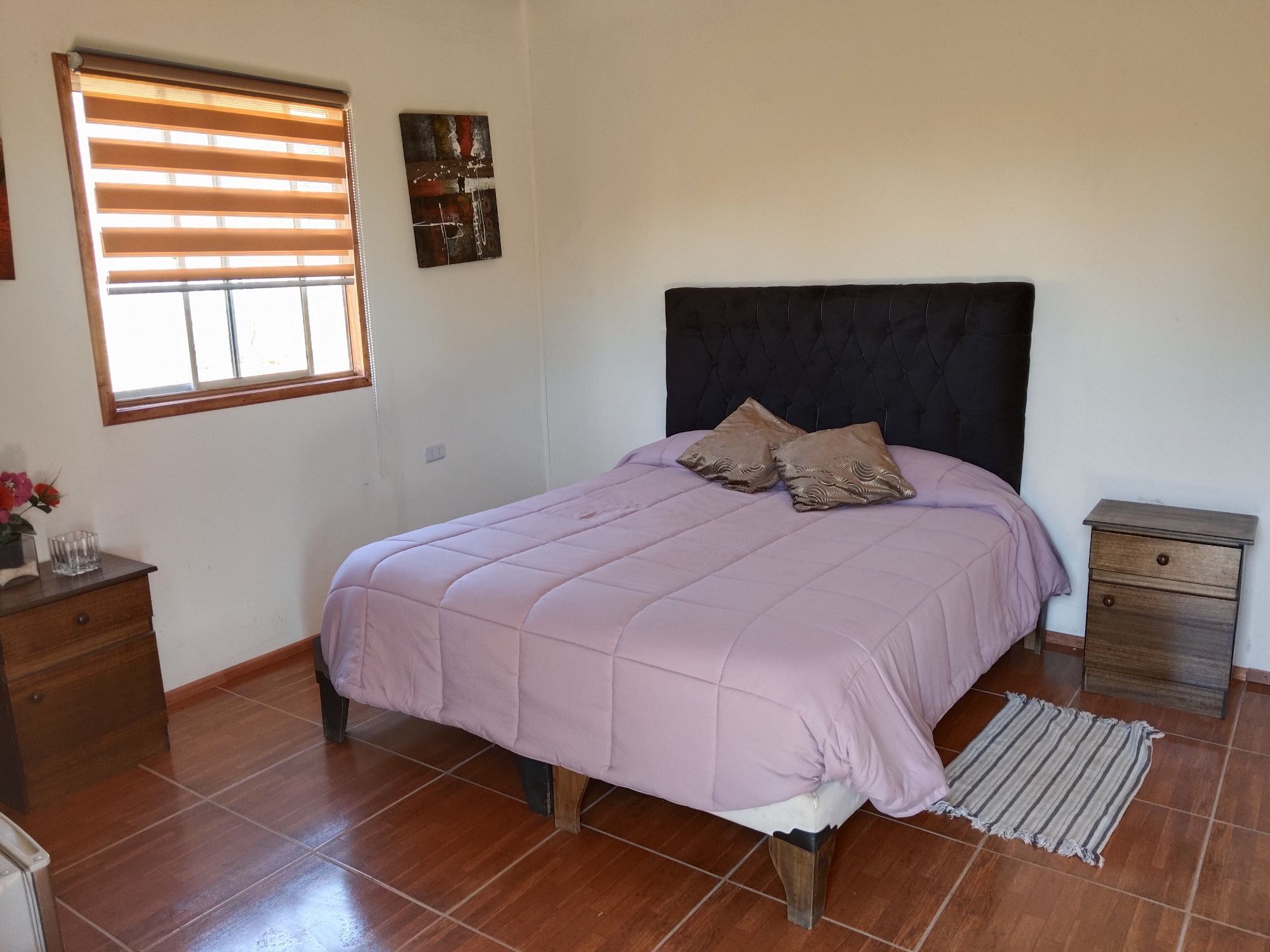 Foto 11 de la galería
