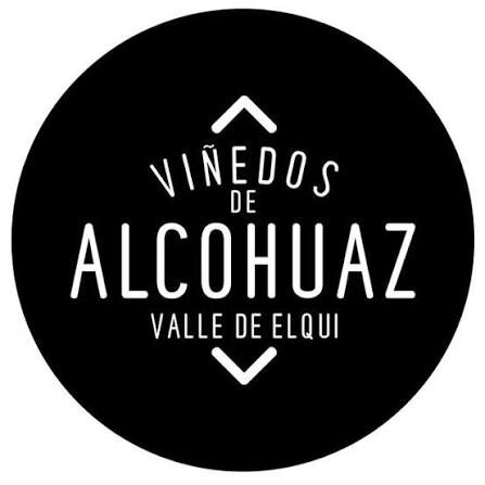 Viñedos de Alcohuaz en altura, Valle de Elqui