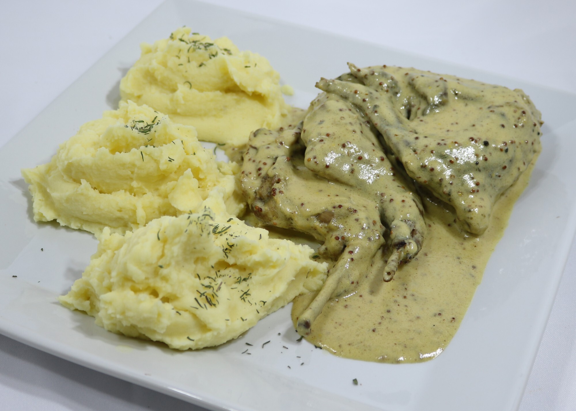 Foto 12 de la galería