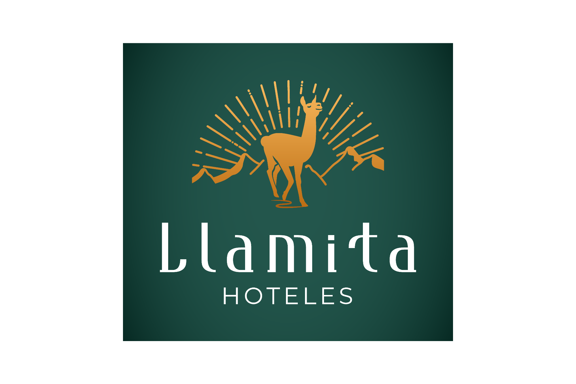 Llamita Hotel - Huancayo
