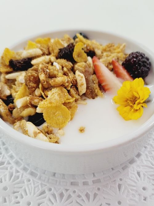 Yogurt with granola
