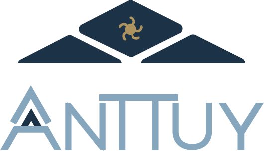 Hotel Anttuy